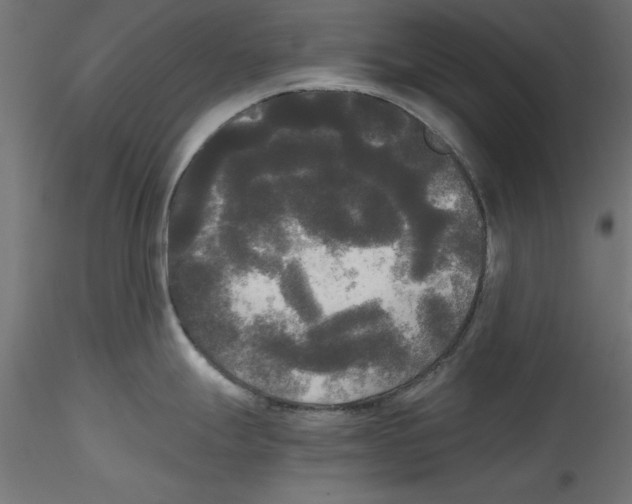 X0000114591247200911301352