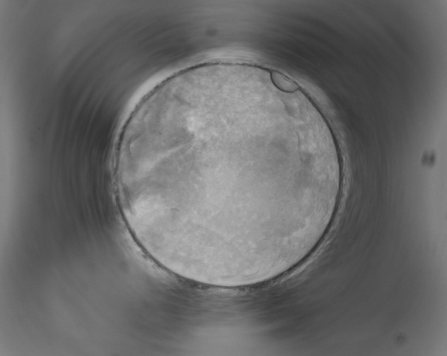 X0000114591248200911301352