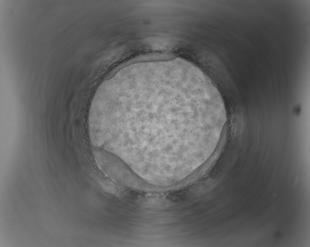 X0000114591249200911301351