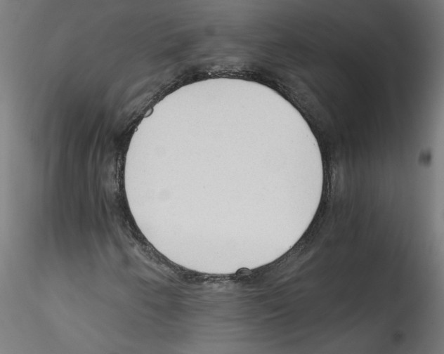X0000114591250200911301351