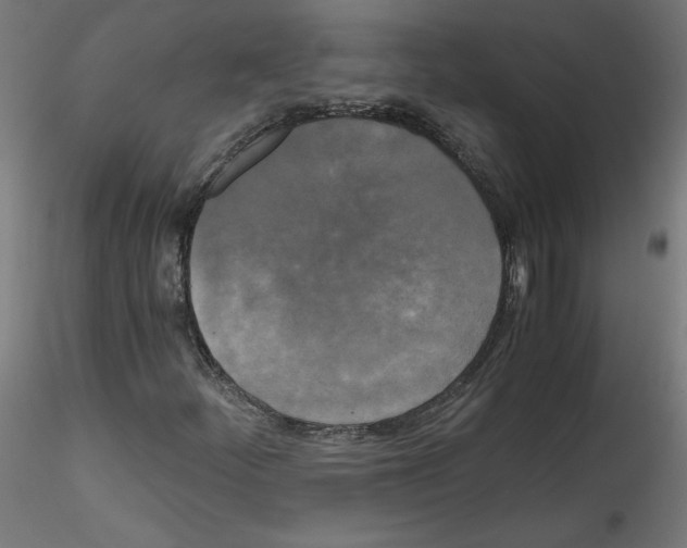 X0000114591252200911301351