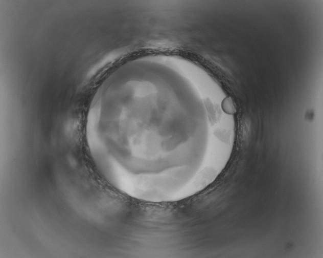 X0000114591254200911301351