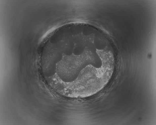 X0000114591255200911301351