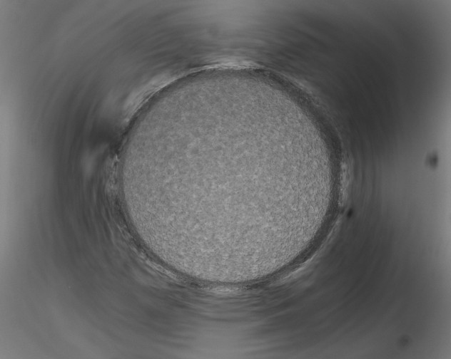 X0000114591257200911301351
