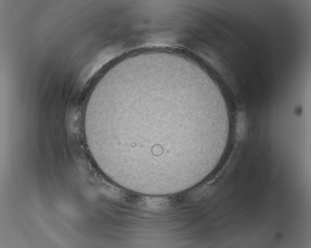 X0000114591258200911301351
