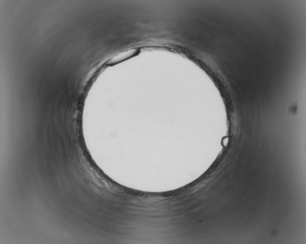 X0000114591260200911301351