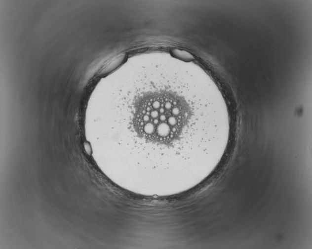 X0000114591261200911301351