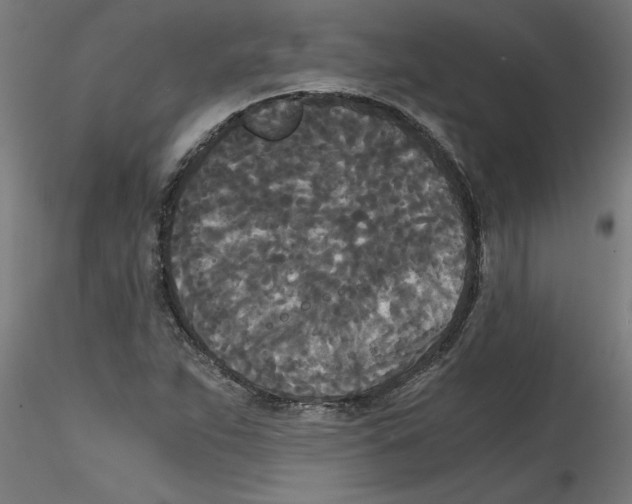 X0000114591263200911301351