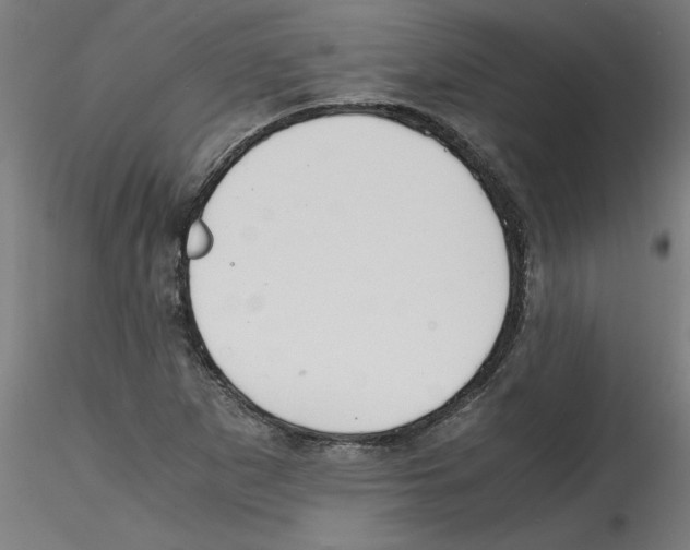 X0000114591265200911301351