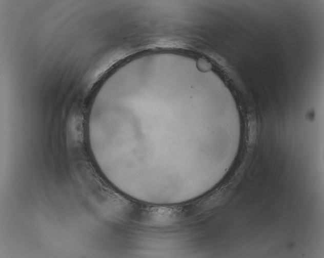 X0000114591266200911301351