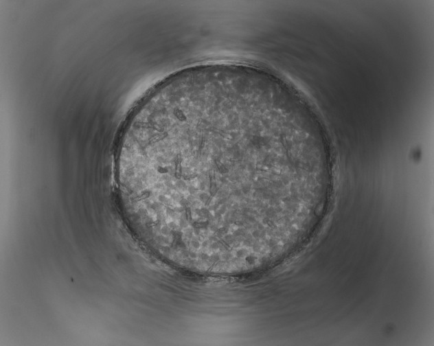 X0000114591267200911301351