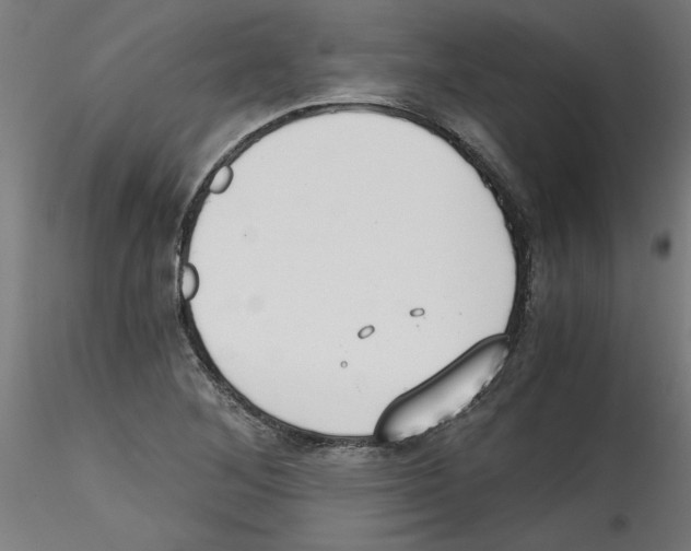 X0000114591268200911301350
