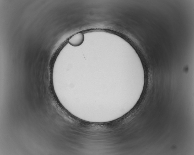 X0000114591270200911301350