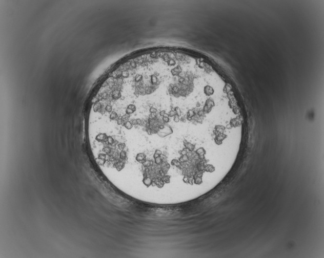 X0000114591271200911301350