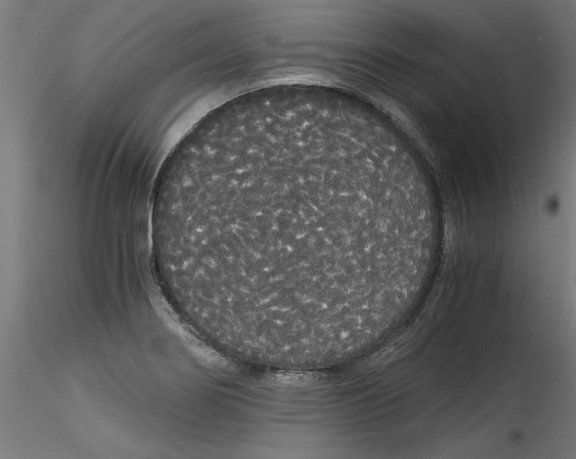 X0000114591274200911301350