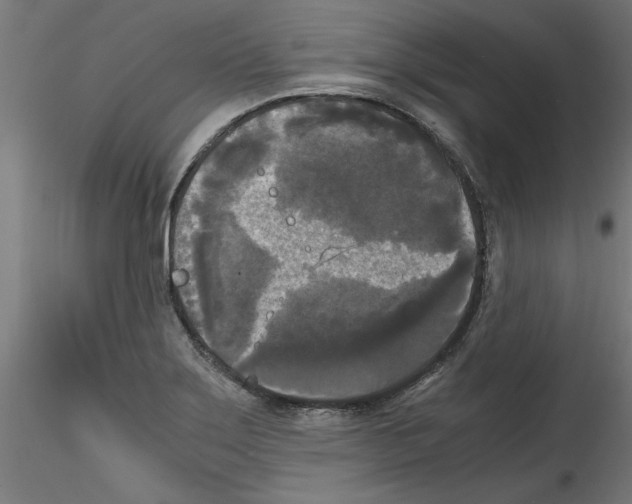 X0000114591275200911301350