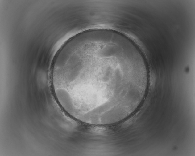 X0000114591278200911301350