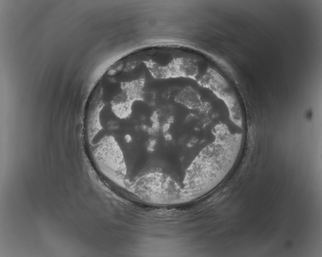 X0000114591279200911301350