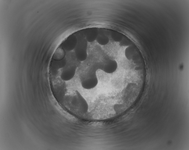 X0000114591283200911301350