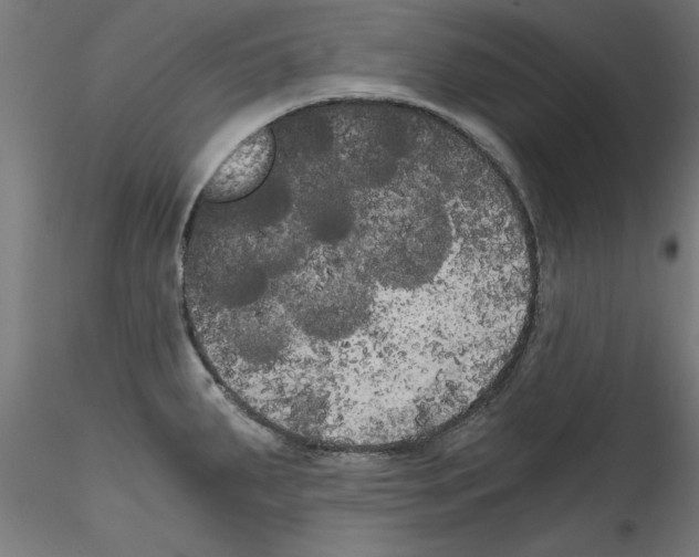 X0000114591287200911301350