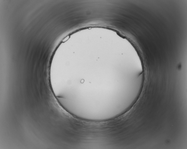 X0000114591288200911301350