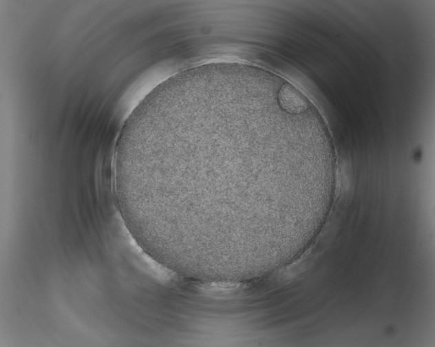 X0000114591290200911301350