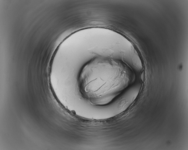 X0000114591291200911301350