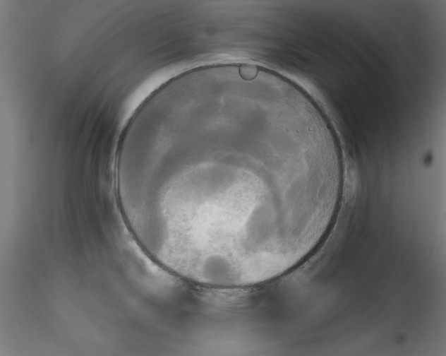 X0000114591294200911301350