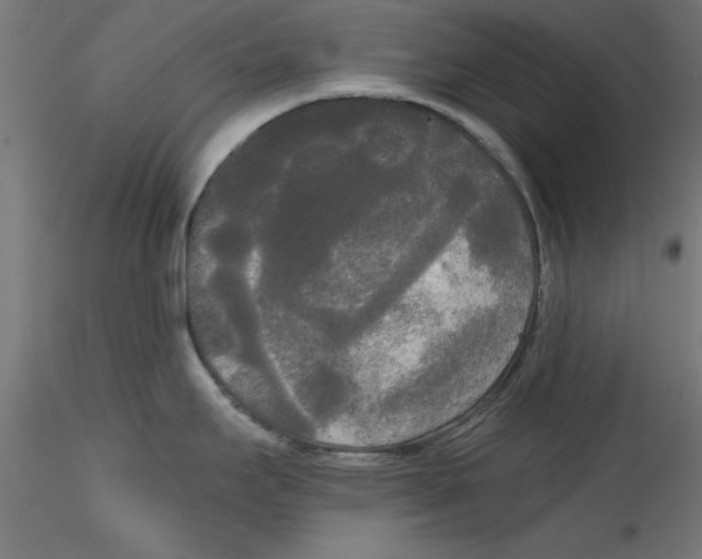 X0000114591295200911301350