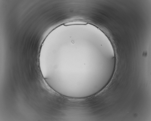 X0000114591296200911301350