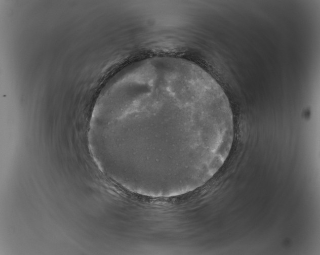 X0000114591297200911301349