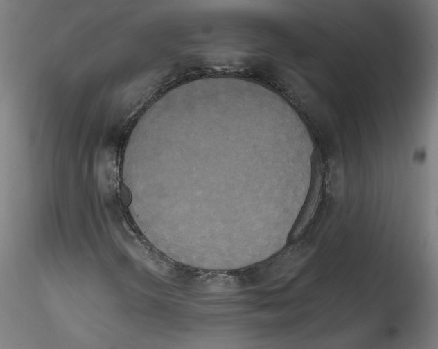 X0000114591298200911301349