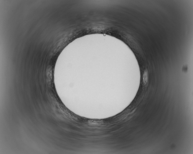 X0000114591299200911301349
