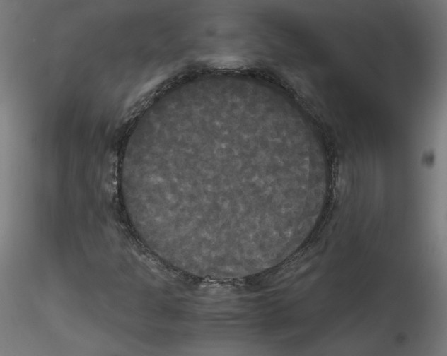 X0000114591301200911301350