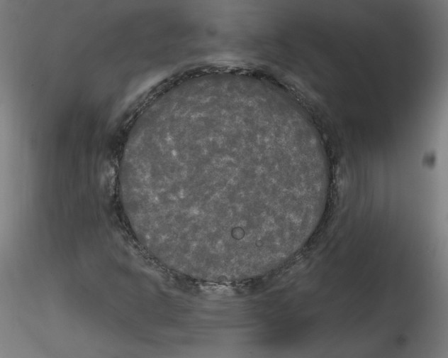 X0000114591302200911301350