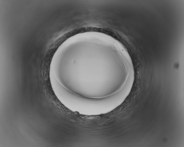 X0000114591303200911301350
