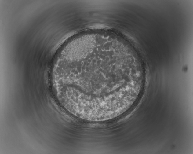 X0000114591305200911301350