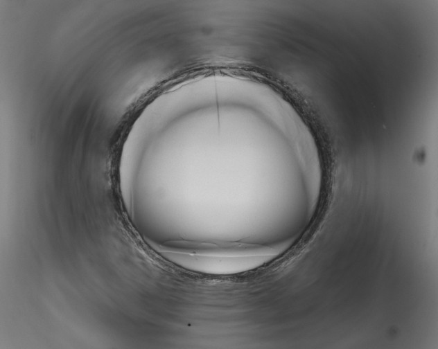 X0000114591306200911301350