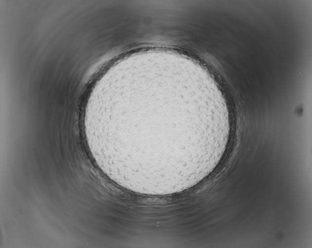 X0000114591307200911301350