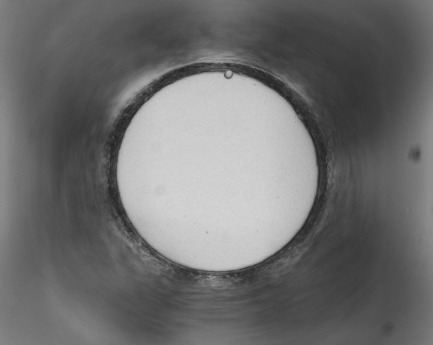 X0000114591311200911301350