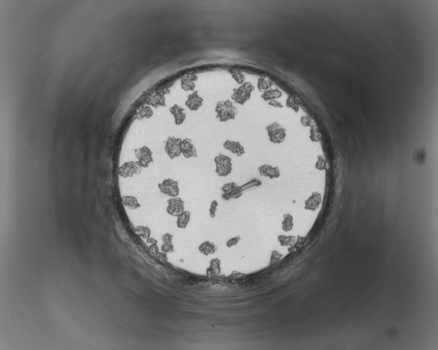 X0000114591318200911301350