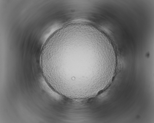 X0000114591322200911301350