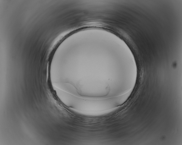 X0000114591323200911301350