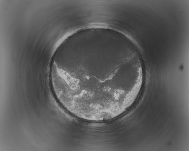 X0000114591325200911301350
