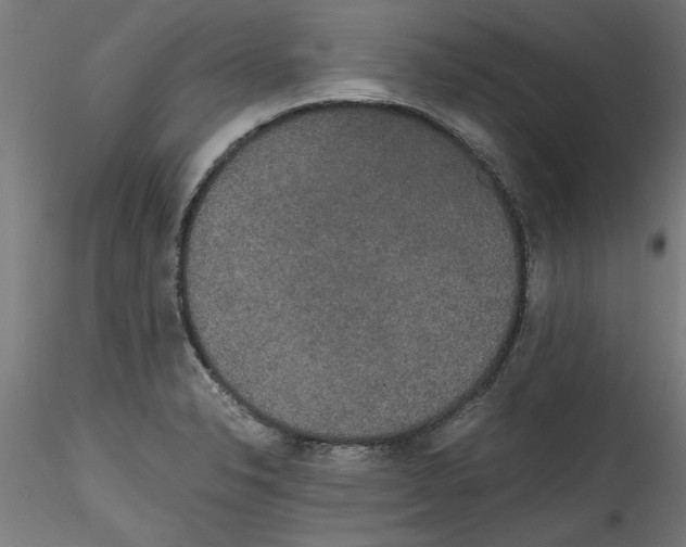 X0000114591326200911301350