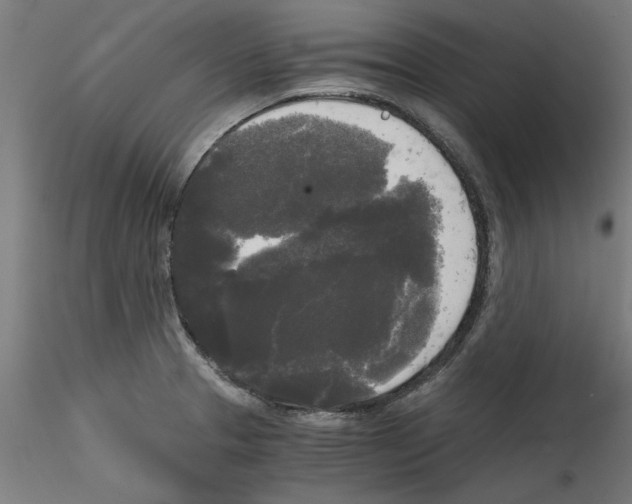 X0000114591329200911301350