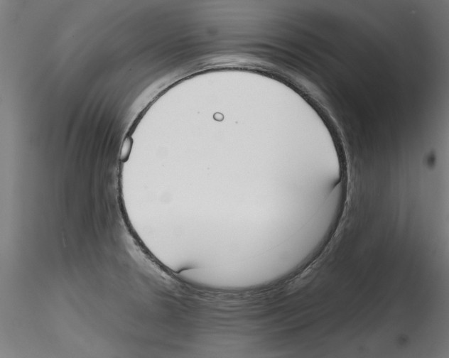 X0000114591330200911301350