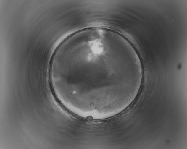 X0000114591331200911301350