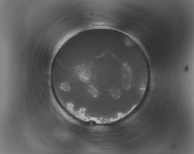 X0000114591333200911301350