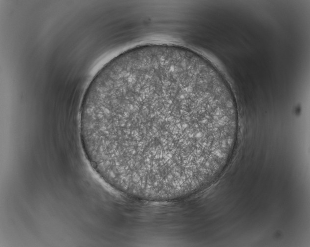 X0000114591335200911301350
